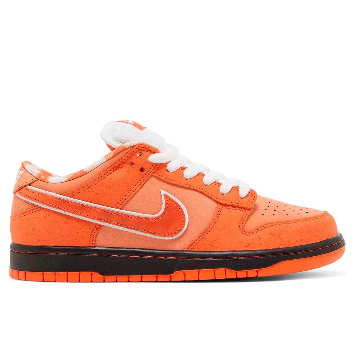 Concepts x Dunk Low SB Orange Lobster